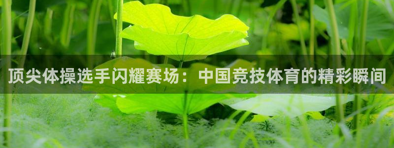 杏悦3官网