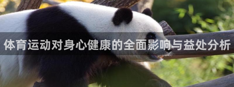 杏悦凯捷平台