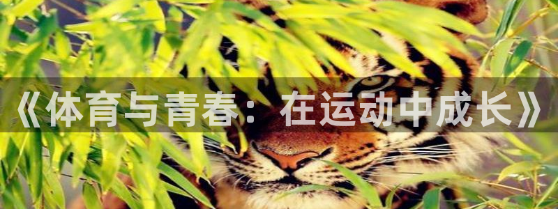杏悦体育合法嘛
