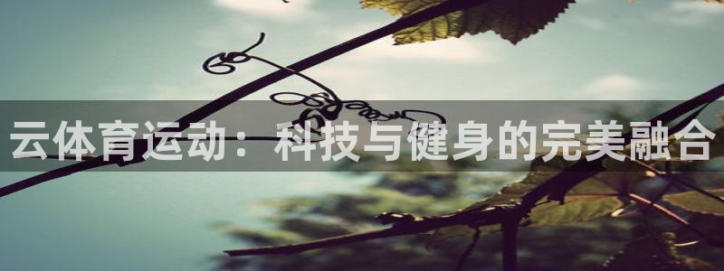 杏悦体育平台登录入口