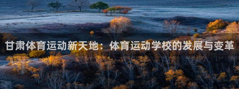 上海杏悦汽车电子有限公司