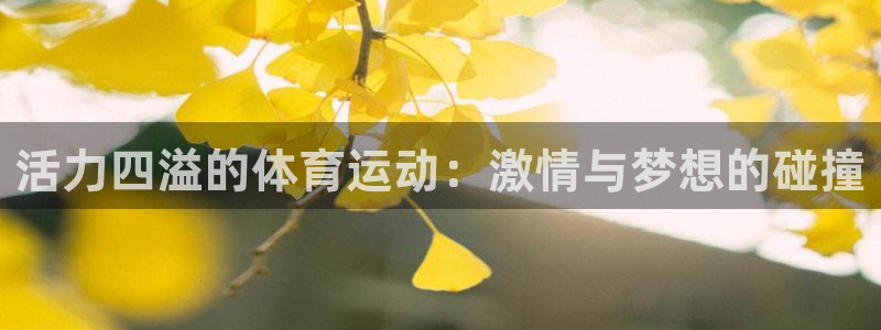 杏悦f平台注册