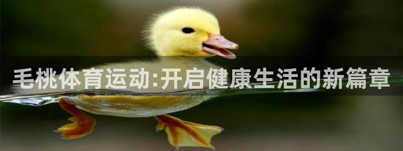 杏悦体育2