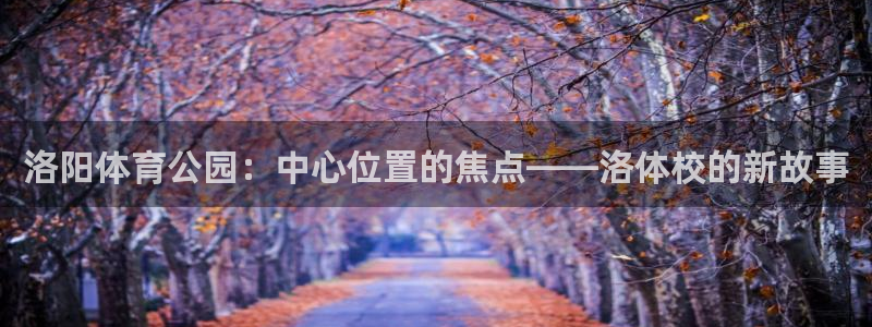 成都杏悦电子有限公司