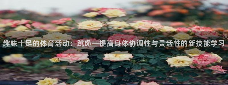 杏悦2注册