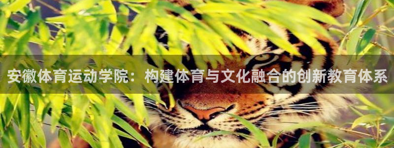 杏悦2登录入口