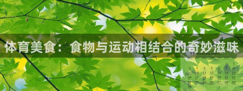 杏悦体育4