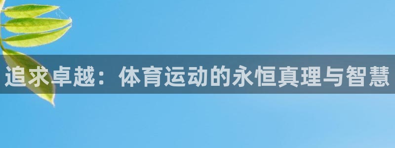 杏悦2