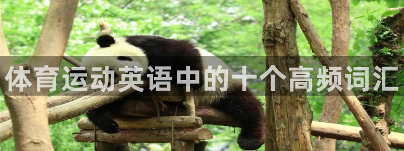杏悦体育平台总代理
