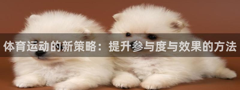 杏悦体育