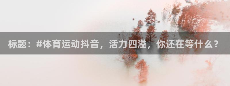 杏悦体育4