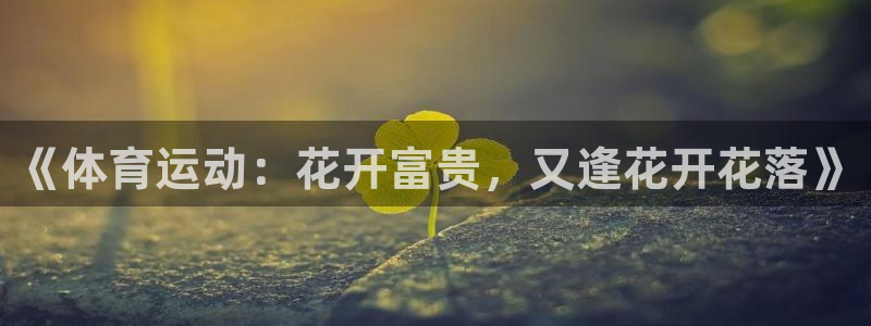 上海杏悦汽车电子有限公司